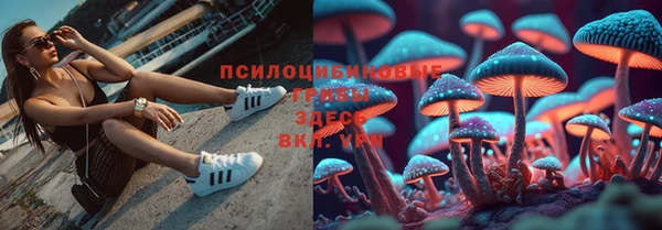 мдпв Костерёво